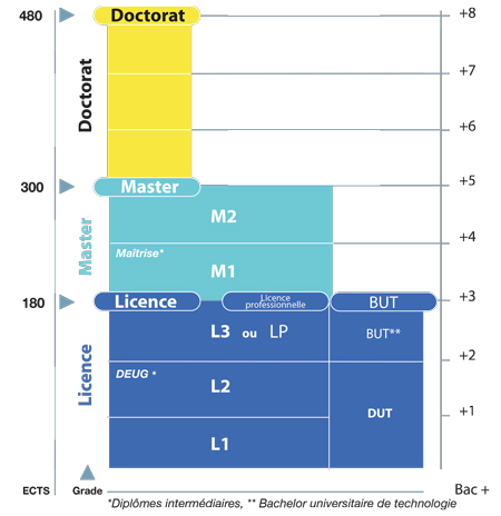 Les études supérieures en France