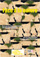 Illustration Mois du film documentaire : Face à la nature
