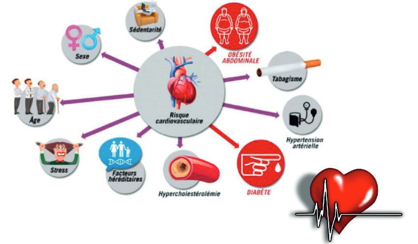 Illustration Dépistage Diabète et Maladies Cardio-Vasculaires