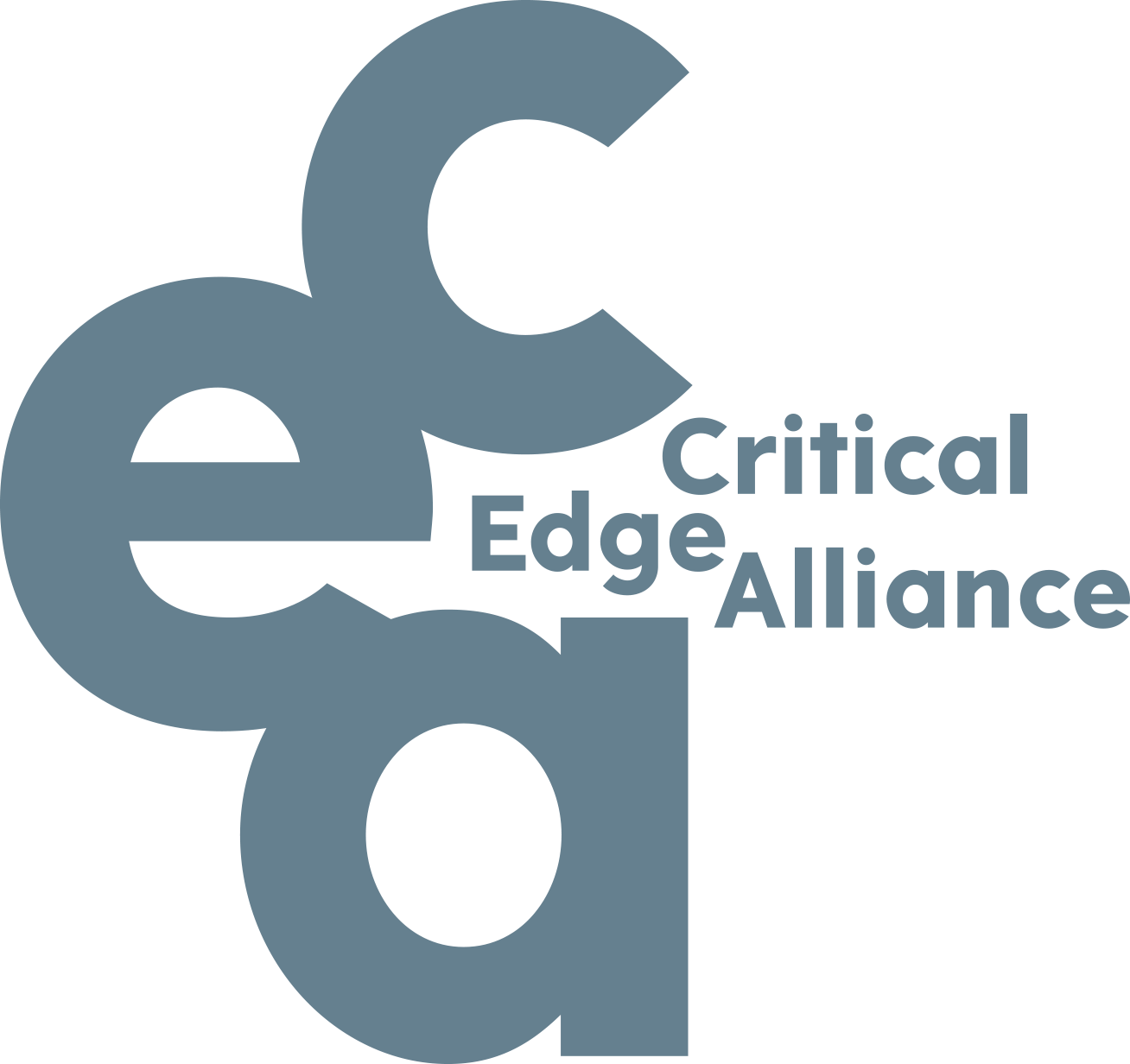 Appel à candidatures - Critical Edge Alliance 2023 