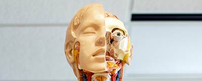 Master Droit de la santé numérique et intelligence artificielle (pratique, recherche et gestion d'établissements)